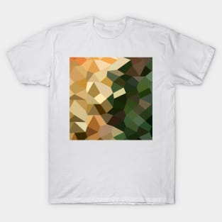 Bronze Yellow Abstract Low Polygon Background T-Shirt